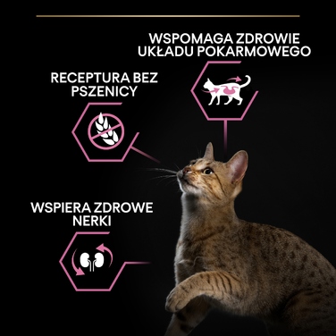 Корм для дорослих котів PRO PLAN Adult Delicate Digestion з індичкою, 10 кг