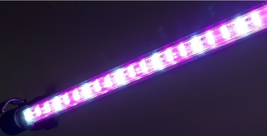 LED-освітлення для акваріума 50 см (трубка) — GROW для росту рослин