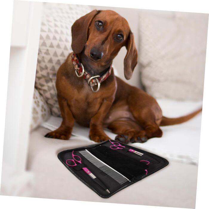 Набір професійних ножиць для грумінгу собак BESPORTBLE з гребінцем: міцні, нержавіючі, для стрижки шерсті