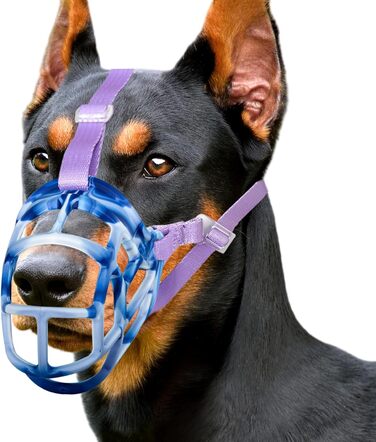 Майтка для собак: зручна, дихаюча, для дресирування та грумінгу (Blue, SIZE 6)