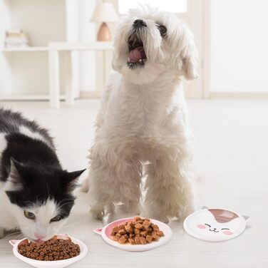 Набір мисок для котячого корму та води з кераміки, 3 шт. - здоровий вибір для сухого та вологого корму. Широкі, плоскі миски для котів, що зменшують дискомфорт від вусів, з неслизьким дном.