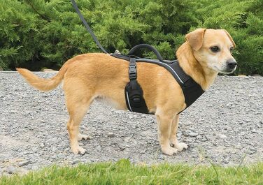 Шлейка для собак PetSafe EasySport, повністю з м'якою підкладкою, для собак 9-16,5 кг, розмір S, чорна