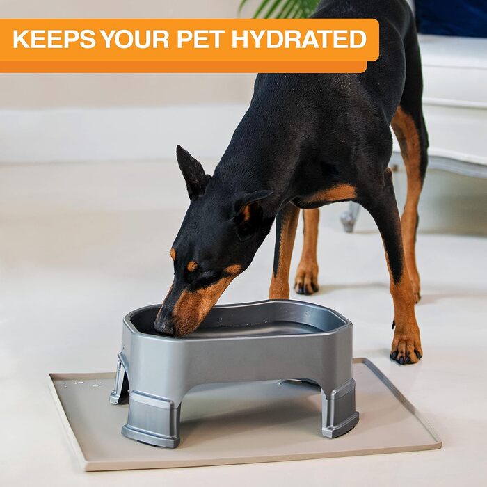 Neater Pet Brands Велика миска для собак з ніжками, 4.7 л, для корму чи води, темно-сіра