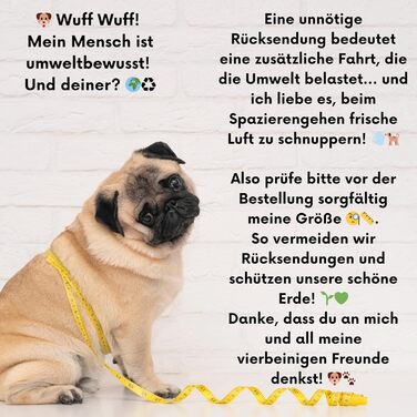 Нашийник для собак на Різдво (S) Hohoho | М'який нашийник Arizona Hotdogs | Леєчка нейлон 1,5м | Різдвяний нашийник для маленьких собак