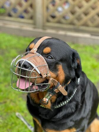 Міцний нашийник-маска для собак з дротяної сітки, Rottweiler, Mastiff, Golden Retriever та інші (сріблястий/коричнева шкіра, R4)