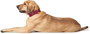 Нашийник для собак HUNTER AALBORG SPECIAL, червоний, шкіряний, міцний, комфортний (M)