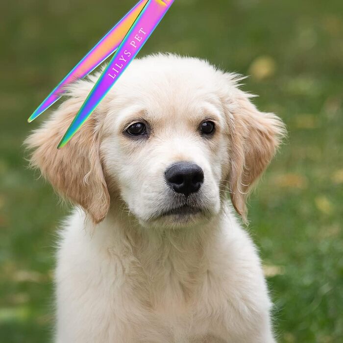 Набір професійних ножиць Lily Pet Highend Series 440C для грумінгу собак, феном, 2 шт., вигнуті, райдужні кольори