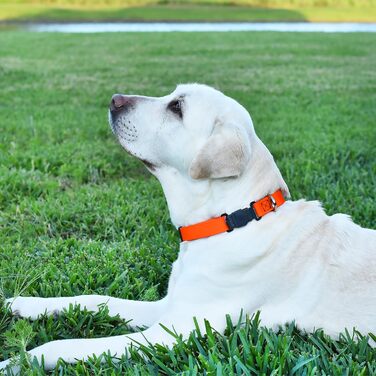Dogline водонепроникний біотановий нашийник для собак з швидкозастібною пряжкою Herm Sprenger, чорна нержавіюча сталь, міцний тактичний нашийник для собак, зручний та безпечний