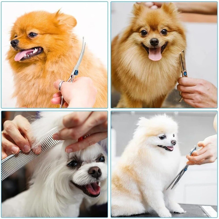 Набір професійних ножиць для собак, ножиці з округлим ножем та захисним наконечником, ножиці для стрижки шерсті з нержавіючої сталі, ножиці для фінішної обробки, вигнуті ножиці, для собак, котів, домашніх тварин