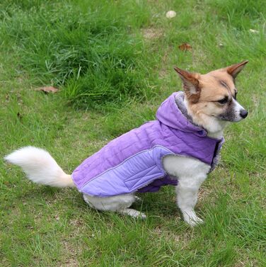 Флісовий теплий пуловер з капюшоном для собак, тепла куртка для цуценят на зиму, зелений, розмір S