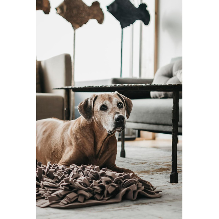 Шнуфлючий килимок для собак LILA LOVES IT 56x56 см - преміум іграшка для вихованців, стильний дизайн, міцний та пральний