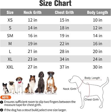Світшот для собак BINGPET з капюшоном, флісова підкладка, теплий, м'який, для осені/зими, для малих, середніх та великих собак та котів