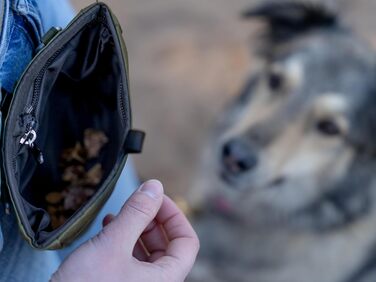 TrendPet Сумка для ласощів для собак, 3 кольори (Оливковий)