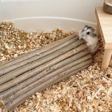 Туннель-іграшка для хом'яків та гризунів DEMONTALK з натурального дерева, тунель-труба для хом'яків, щурів, мишей