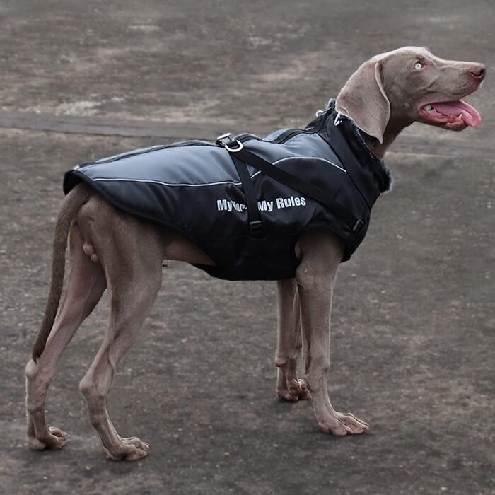 Водонепроникний зимовий одяг для собак, тепла куртка-жилет для собак, захист живота, одяг для домашніх тварин з блискавкою, відображаючий та вітронепроникний, для середніх та великих собак, розмір 2XL-6XL (6XL)