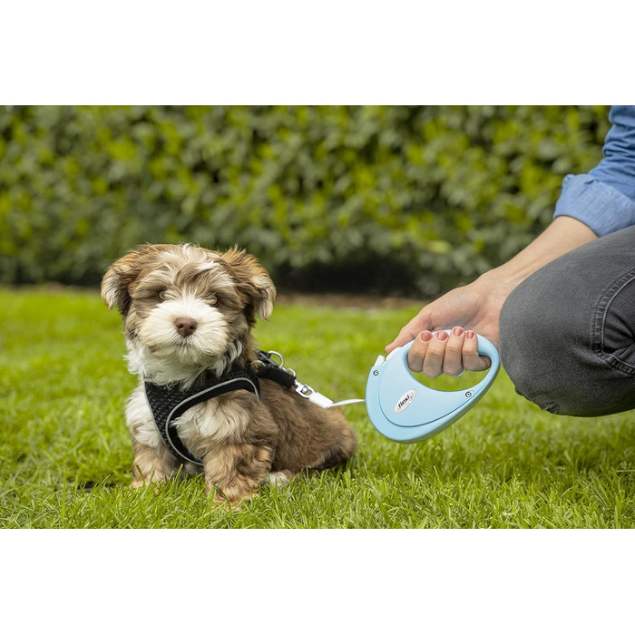 Рулетка для собак і котів Flexi Hundeleine, 2 м, блакитна