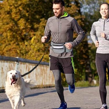 Сумка для корму для собак, поясна сумка, бананка для собак, бананка для тренувань, поліестер, кілька кишень, знімна кишеня для ласощів (сіра)