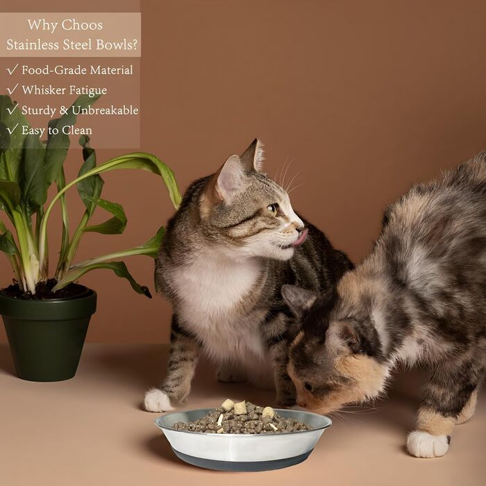 Набір з 2 нержавіючих мисок для котів та цуценят, широкі та плоскі, з антиковзною основою