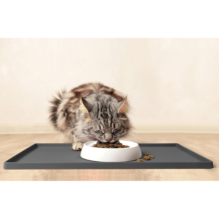 Миска для котів CatGuru Schnurrhaar – широка, плоска, антистресова, з нековзкою основою, зменшує втомленість вусів, для корму та води