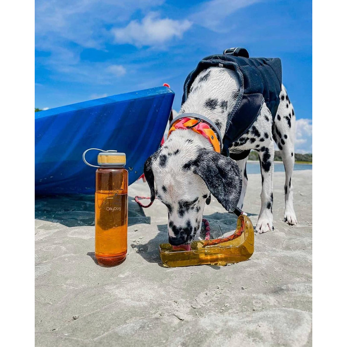 Пляшка для води OllyDog 1 л Flame, для тварин, пластикова