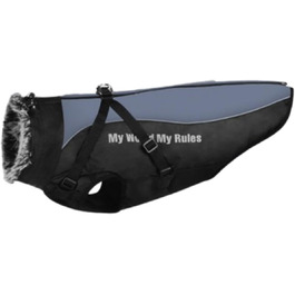 колір: метеори́тгра́в