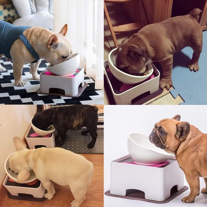 Керамічна миска JYHY Bulldog для собак і котів, біла, з підставкою, широка стерильна, похила, з нековзким гумовим килимком, 1,5 склянки