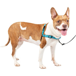 Шлея для собак PetSafe Deluxe Easy Walk, нейлон, антипотяг, чорна