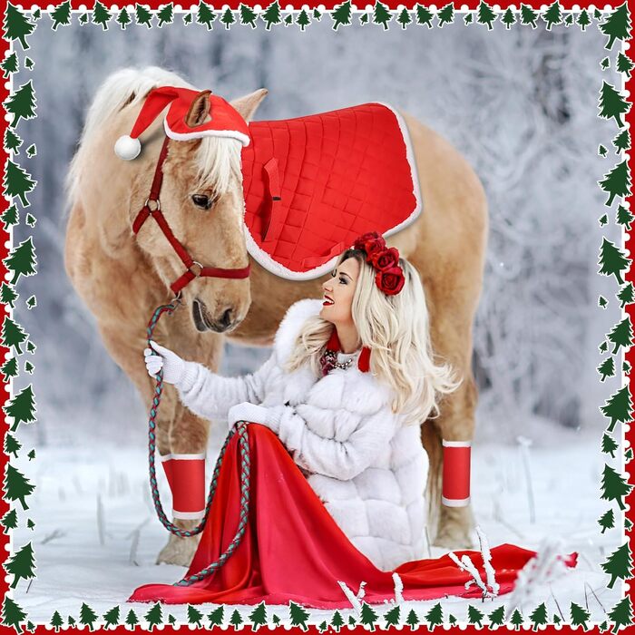 6 шт. новорічні підкови для коней, гільзи для ніг з штучним хутром, шапка Санти для коней, костюм для коня, новорічний декор для коней, аксесуари для костюмів