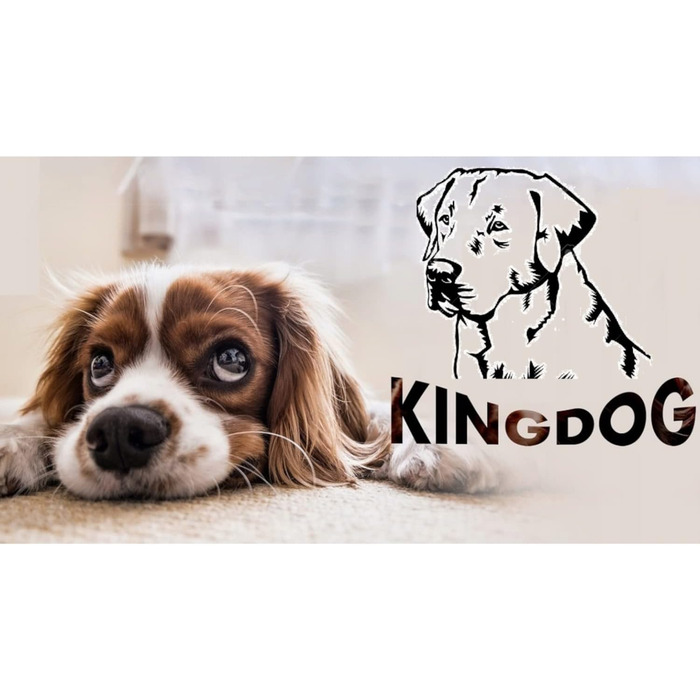 Ліжко для собак та котів KingDog з двома подушками, кошик для собак, ліжко для домашніх тварин, миється, водонепроникний PVC (XL 115x95см, Червоний)