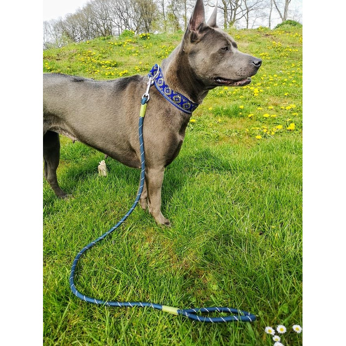 Широкий нашийник для собак 4 см, м'яка підкладка, регульований стопор, комфортний та легкий Martingale, подарунок для собаки (до 48 см обхвату шиї, 54 см обхвату голови з урахуванням 6 см стопора)