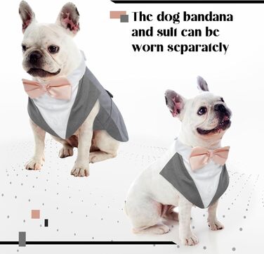 Костюм для собак 