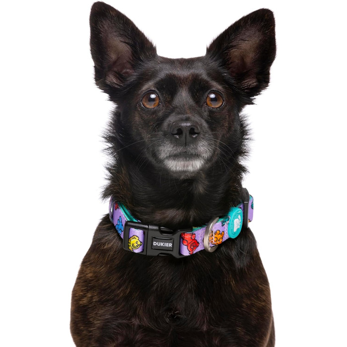 Нашийник для собак DUKIER, регульований, з неопрену, міцний, дизайн - ведмедики, розмір M