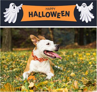 Нашийник для собак Unique Style Paws з метеликом, регульований, для середніх собак (L, 1 шт.), для святкування Хелловіну