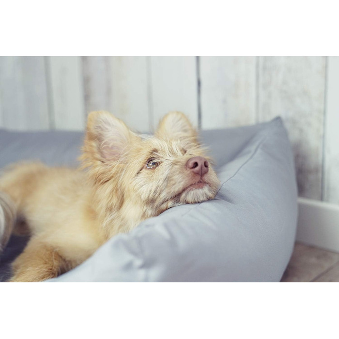 Водонепроникне ліжко для собак 4L Textil Koko великих порід, корзина для собак, знімний та пральний чохол, коричневий (100x80 см)