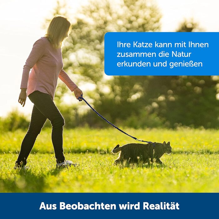 Шлейка PetSafe Easy Walk для котів, з еластичною шнурковою лінійкою, розмір L, червона, CWMK-L-RED-19