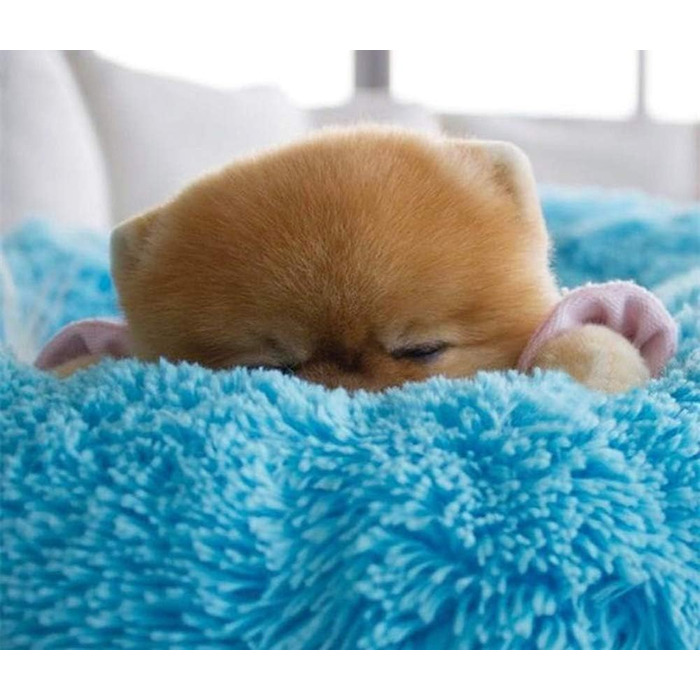 Преміум ортопедичне ліжко для собак великих та екстра-великих порід, Donut ліжко для собак, м'який плюш, кругла собача софа з водонепроникним дном, миється, діаметр 80 см, блакитний колір