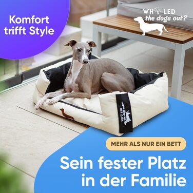 Крісло-ліжко для собак: міцне та зручне, для великих та маленьких собак, цуценят та літніх тварин. Крісло-ліжко для собак, корзина для собак, різних кольорів (S, пісочний)