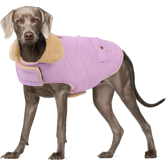 Зимова куртка для великих собак, вітронепроникна, для холодної погоди, одяг для домашніх тварин, куртка від снігу, для Golden Retriever, Labrador Retriever, Husky, розмір XL (X-Large, фіолетовий)