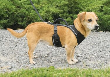 Шлея для собак PetSafe EasySport XS, повністю м'яка, еластичний комір, для собак 6,8-11,3 кг, зелена