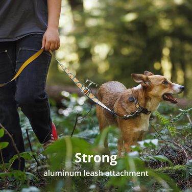 Нашийник для собак RUFFWEAR Crag, середній, з алюмінієвим кільцем V-Ring, регульований, 36-51 см, колір Midnight Wave