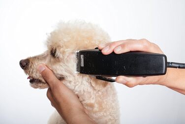 Професійна машинка для стрижки тварин Moser Rex 1230 для середніх собак (стара версія)