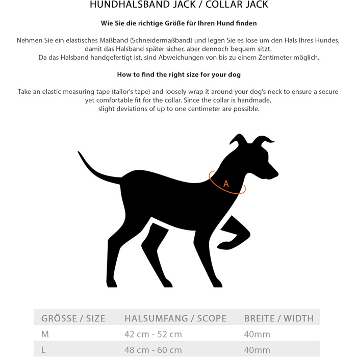 Преміум шкіряний нашийник для собак Джек Рассел з ручкою - міцний нашийник з натуральної шкіри буйвола Jack (L) (48.0-60.0см)