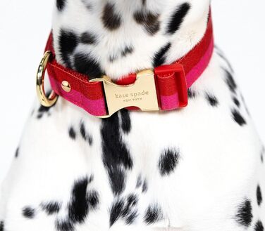 Нашийник для собак Kate Spade New York, регульований, 39,4-61 см, з золотою металевою пряжкою, для середніх і великих порід, червоно-рожевий