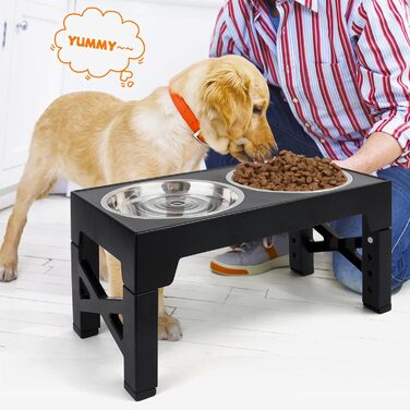 Підвищена годівниця для собак та котів, регульована висота, з нержавіючої сталі, 2 миски, чорна