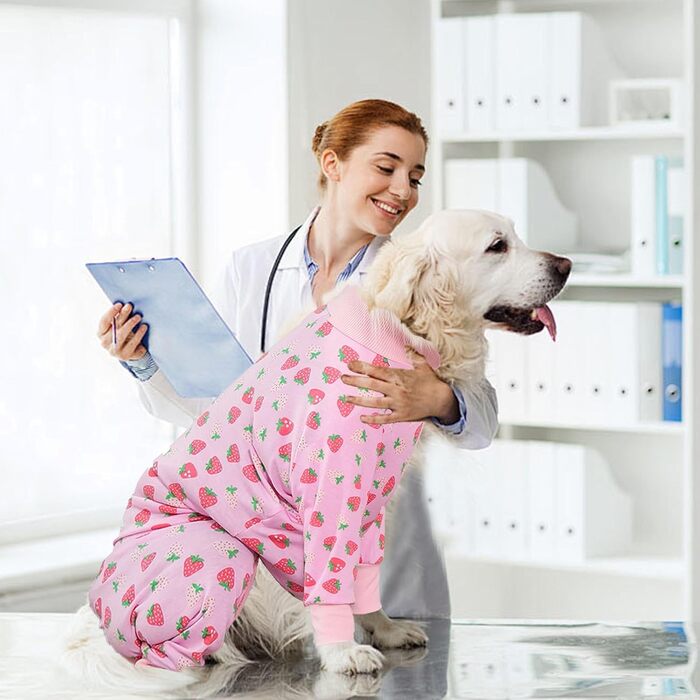 Захисний боді для собак після операції: для сук та кобелів, дихаючий, з захистом рани, альтернатива E-Collar, розмір XXL, колір полуниця