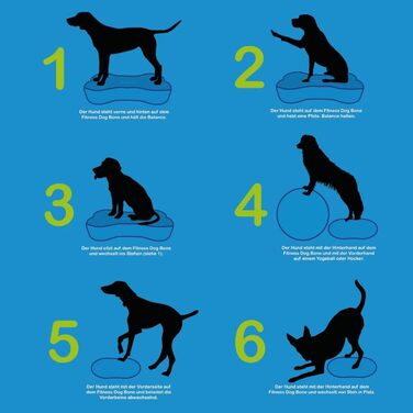 Навчальний килимок для собак - баланс борд, подушка - ортопедичний тренінг та ігри - для малих та великих собак, з насосом