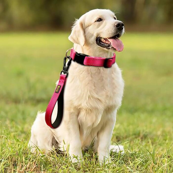 PLUTUS PET короткий повідок для великих собак 25,4 см, рожевий, з міцним карабіном і м'якою ручкою