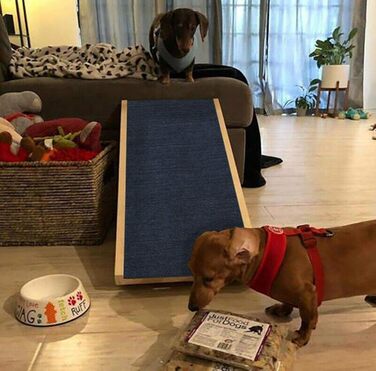 Рампа для собак DayPlus – пандус для авто, ліжка, дивану. З антиковзким покриттям, для великих собак до 150 кг, дерев'яна, складана (70x35cm)