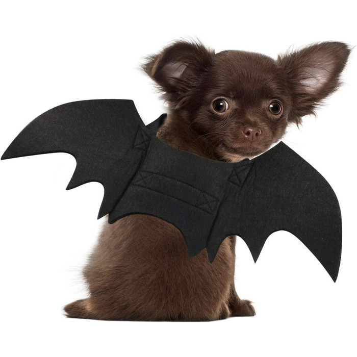 Костюм кажана для собак Rypet, карнавальний костюм для тварин, крила кажана, косплей, костюм для собак та котів, для вечірок, розмір XL