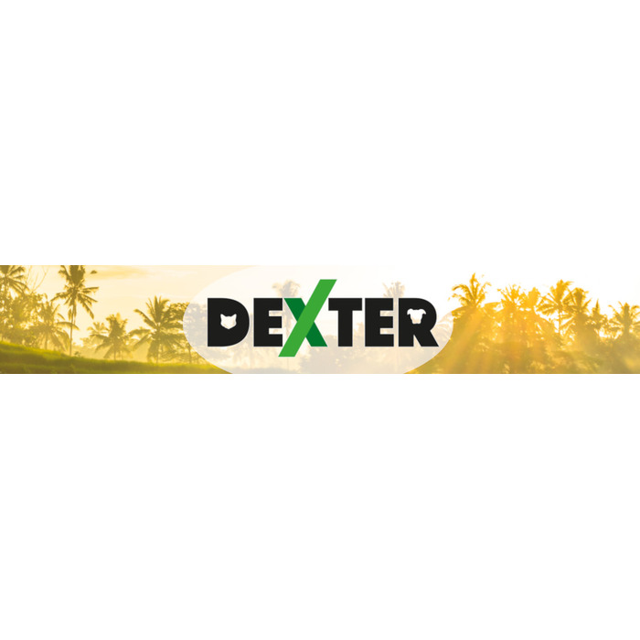 Сухий корм для собак великих порід Dexter Complete, 20 кг